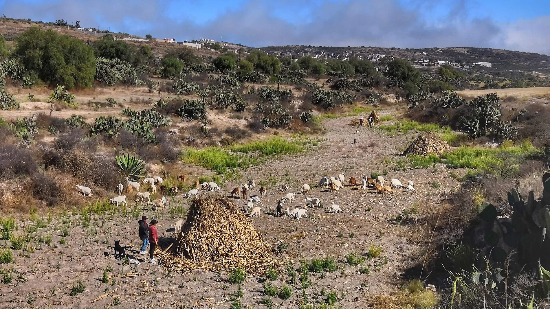 CAMPESINOS F BEG (1)